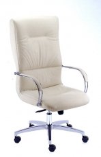 Рабочее кресло AURELIA MOVING AR0165 + XB068